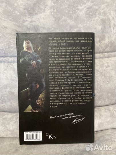 Книга король и шут между Купчино и Ржевкой