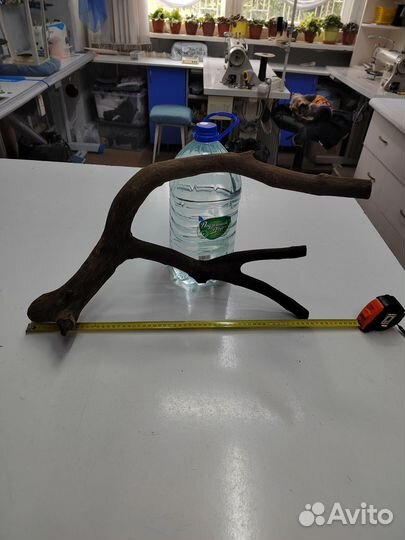 Коряга для аквариума