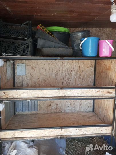 Брудер для цыплят