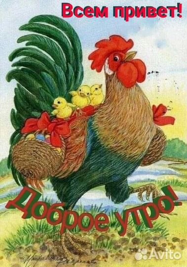 И.я для инкубатора