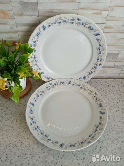 Винтаж. Фарфоровые тарелки Чехословакия