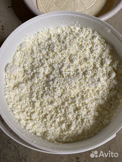 Сыр Молоко Творог Сметана доставкой