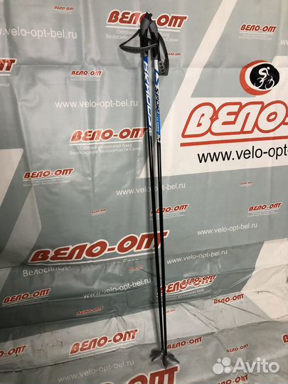 Лыжные палки