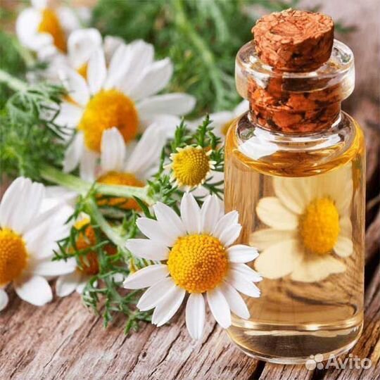 Водорастворимые экстракты