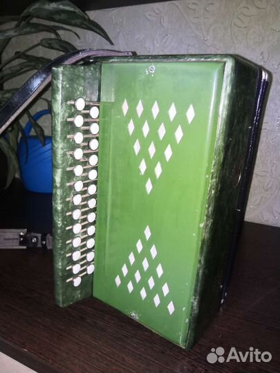 Гармонь Кубань