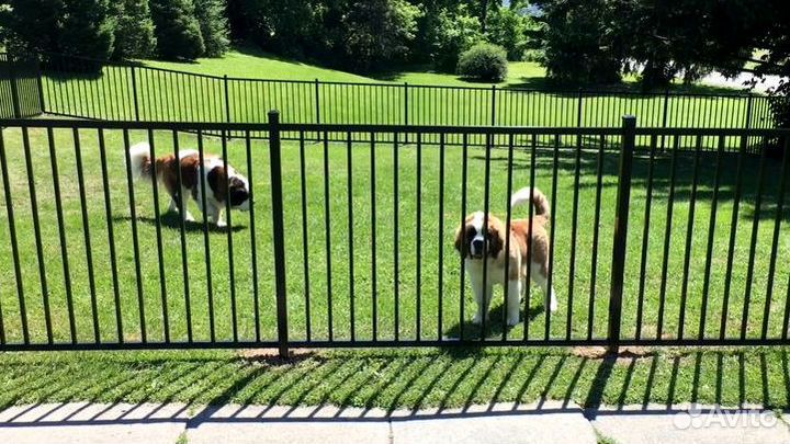 Забор сварной секционный