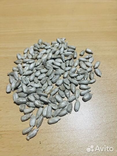 Подсольнечник Ядро Полосатая семечка Лён(Оптом)