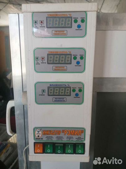 Инкубатор выводной