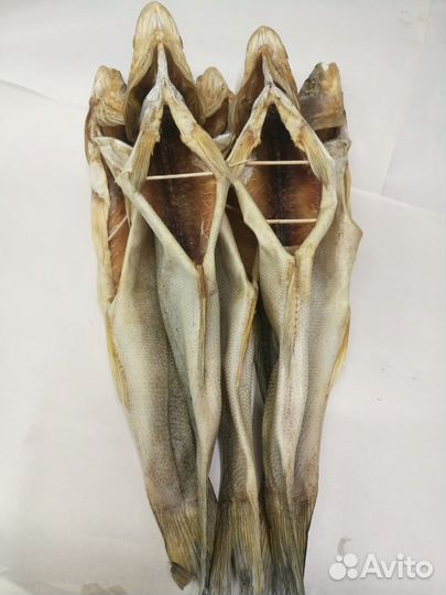 Рыба Судак (потрашеный) вял. цена за кг