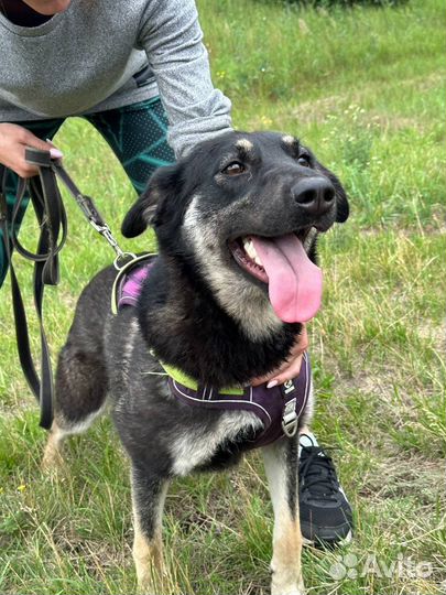 Очаровательная Хади ищет семью