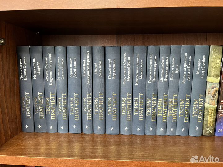 Терри Пратчетт, Плоский мир