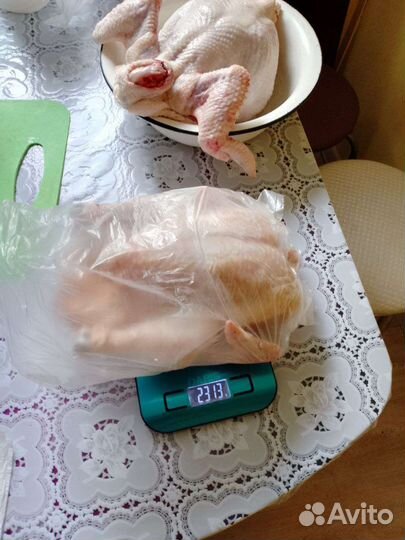 Мясо домашнего бройлера