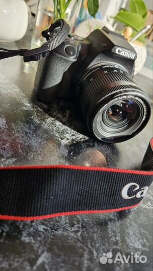 Зеркальный фотоаппарат canon eos 250d