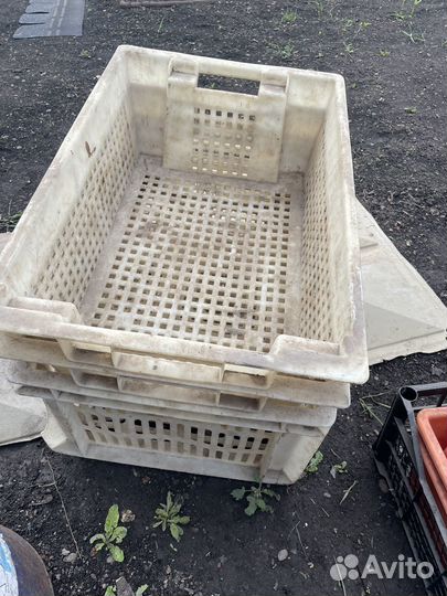 Ящик из пластика