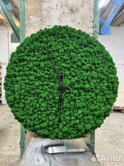 Часы настенные из мха