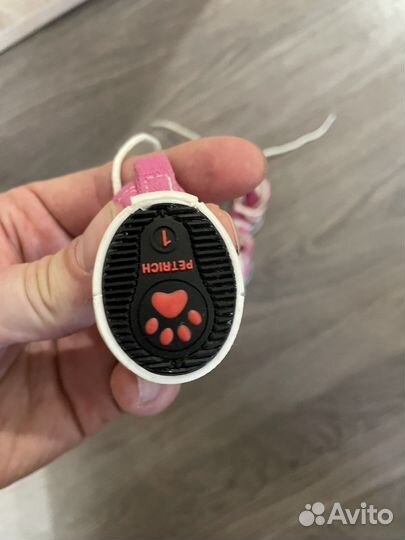 Кеды для маленьких собак