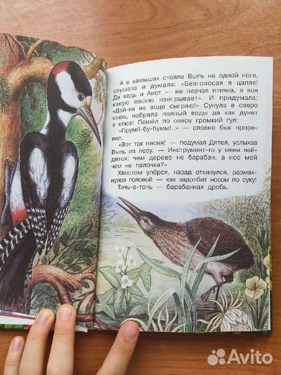 Рассказы и сказки о животных