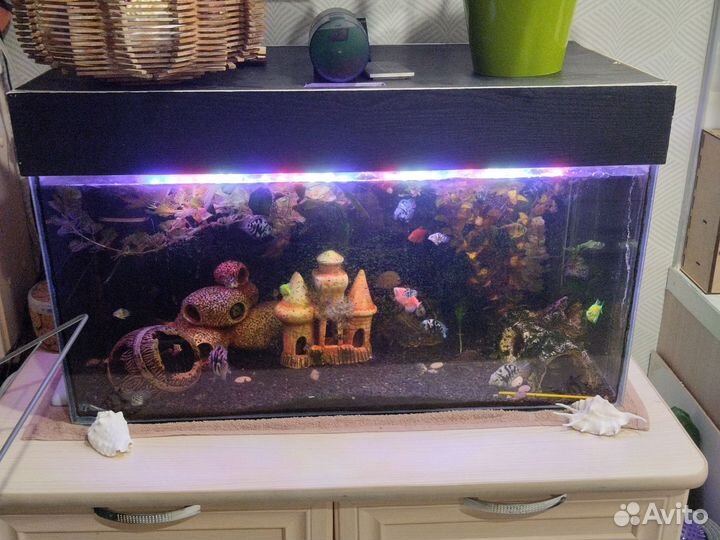 Аквариум 80л