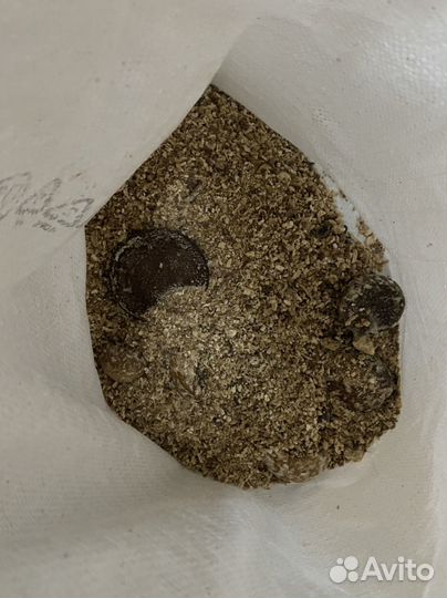 Кондитерские отходы оптом