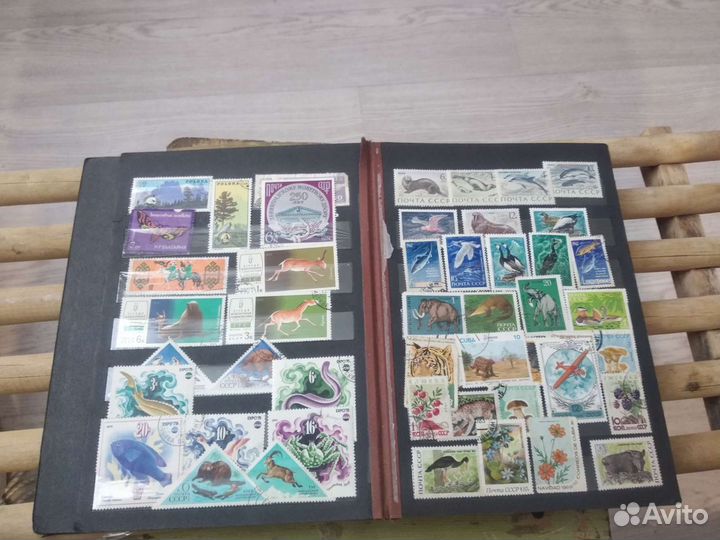 Почтовые марки мира