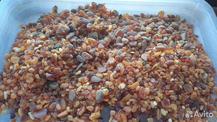 Янтарь лечебный