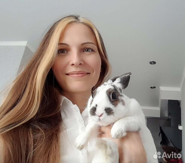 Передержка животных/собак/кошек, зооняня, присмотр