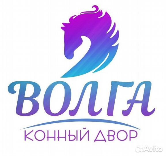 Конные прогулки