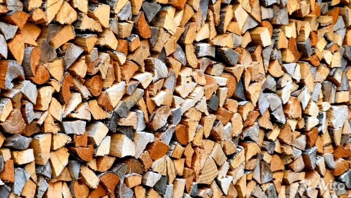 Дрова из леса
