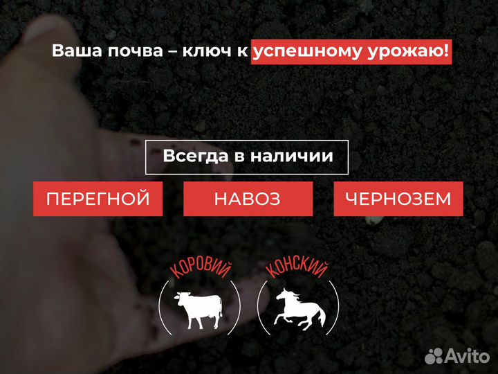 Навоз