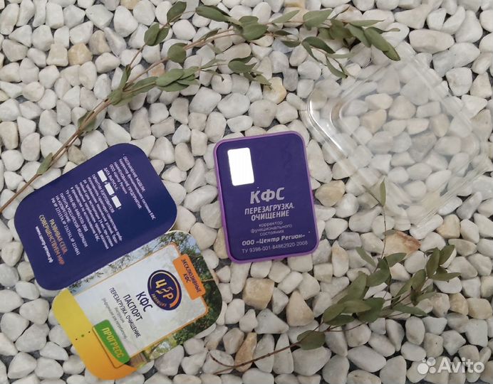 Кфс Кольцова Перезагрузка Очищение
