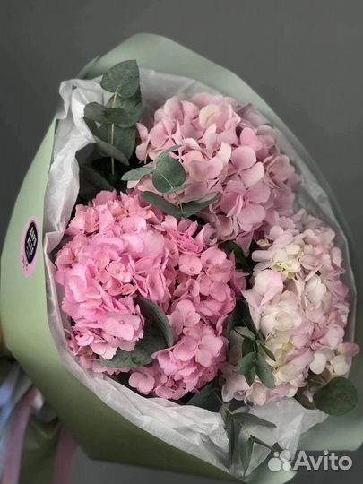 Гортензия/цветы и букеты с доставкой