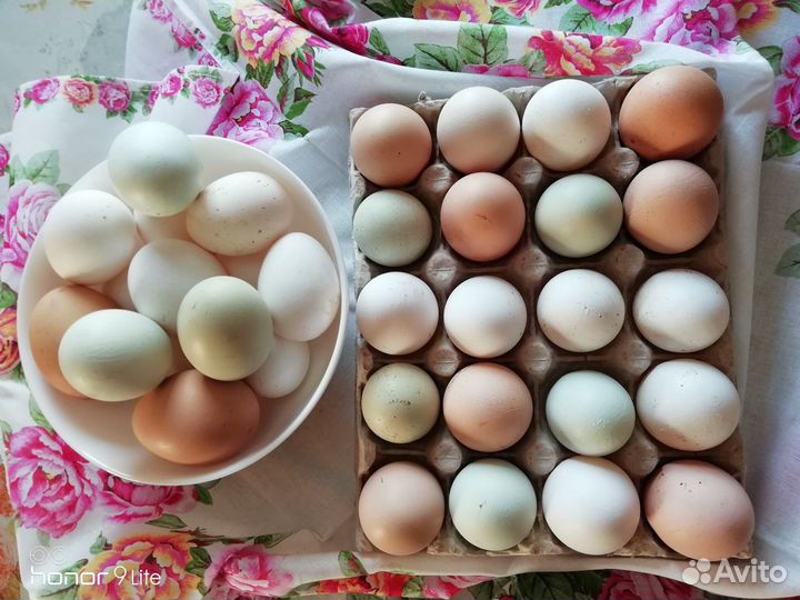 Домашнее яйцо козий сыр творог сливки масло молоко