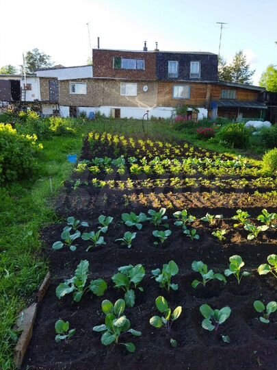 Дом 80 м² на участке 6 сот.