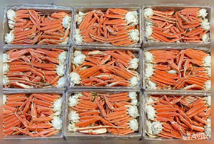 Конечности краба стригуна