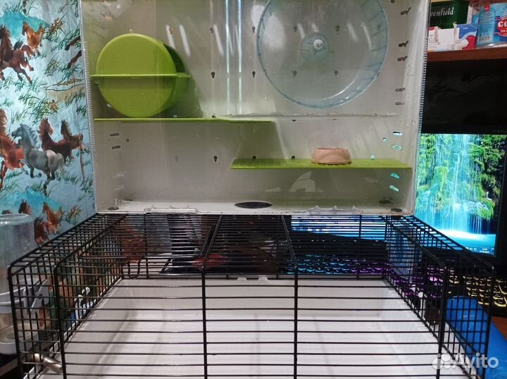 Клетка для хомяка Ferplast большая