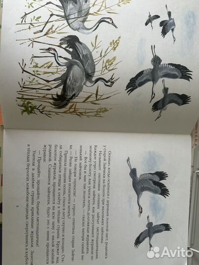 Листопадничек, Как муравьишка домой спешил