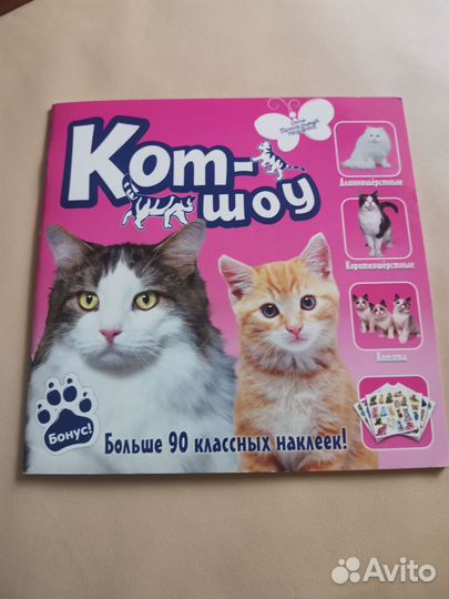 Кот-шоу журнал новый