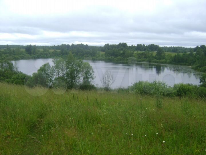 Участок 5,3 га (СНТ, ДНП)