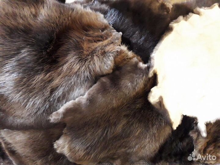 Выделка шкур - качественно