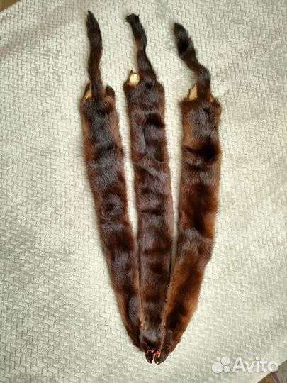 Шкурка норки