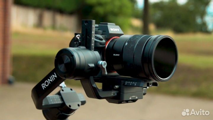 Свадебный видеограф + reels в подарок