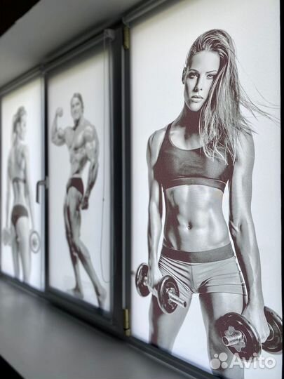 Рулонные шторы Жалюзи