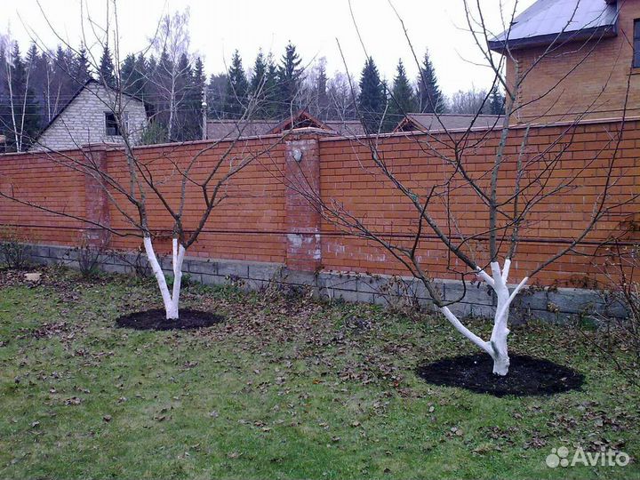 Садовник,уход за садом