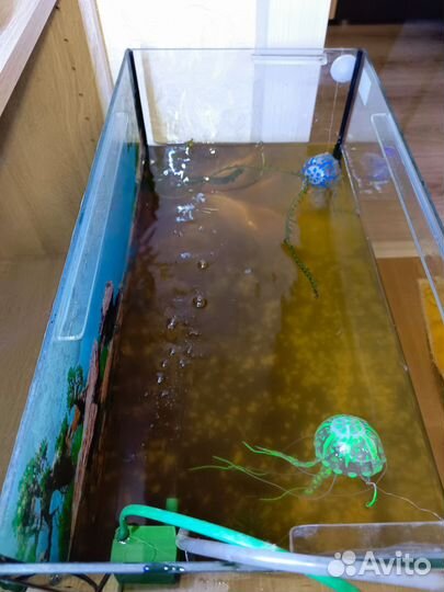 Аквариум с декором