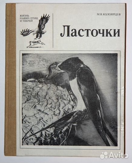 Колоярцев М.В. – Ласточки
