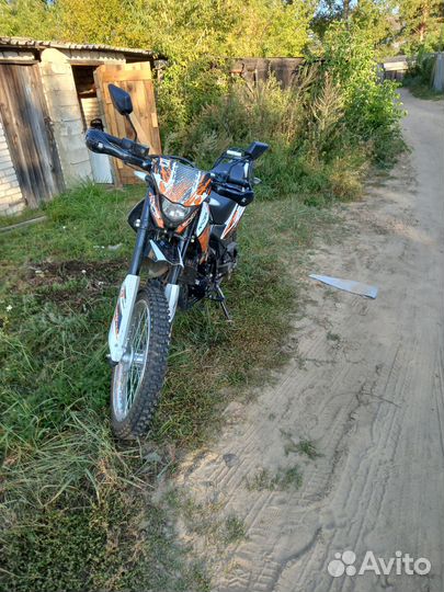 Racer panrher 300