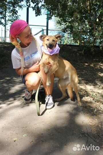 Меренга ищет дом