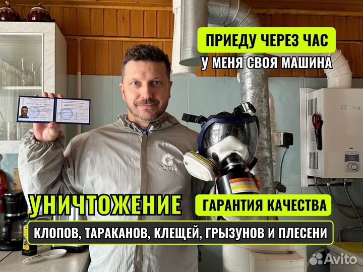 Уничтожение тараканов обработка от клещей