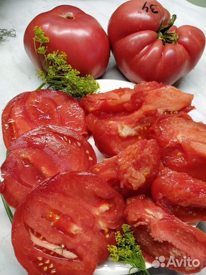 Семена коллекционных сортов томатов