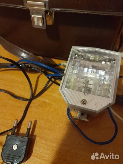 Фотовспышка чайка